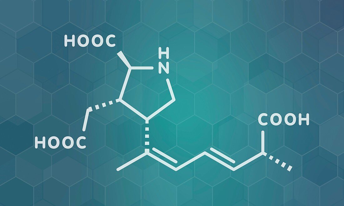 Domoic acid algae poison molecule, illustration