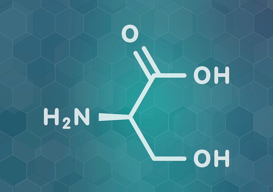 D-serine amino acid molecule, illustration