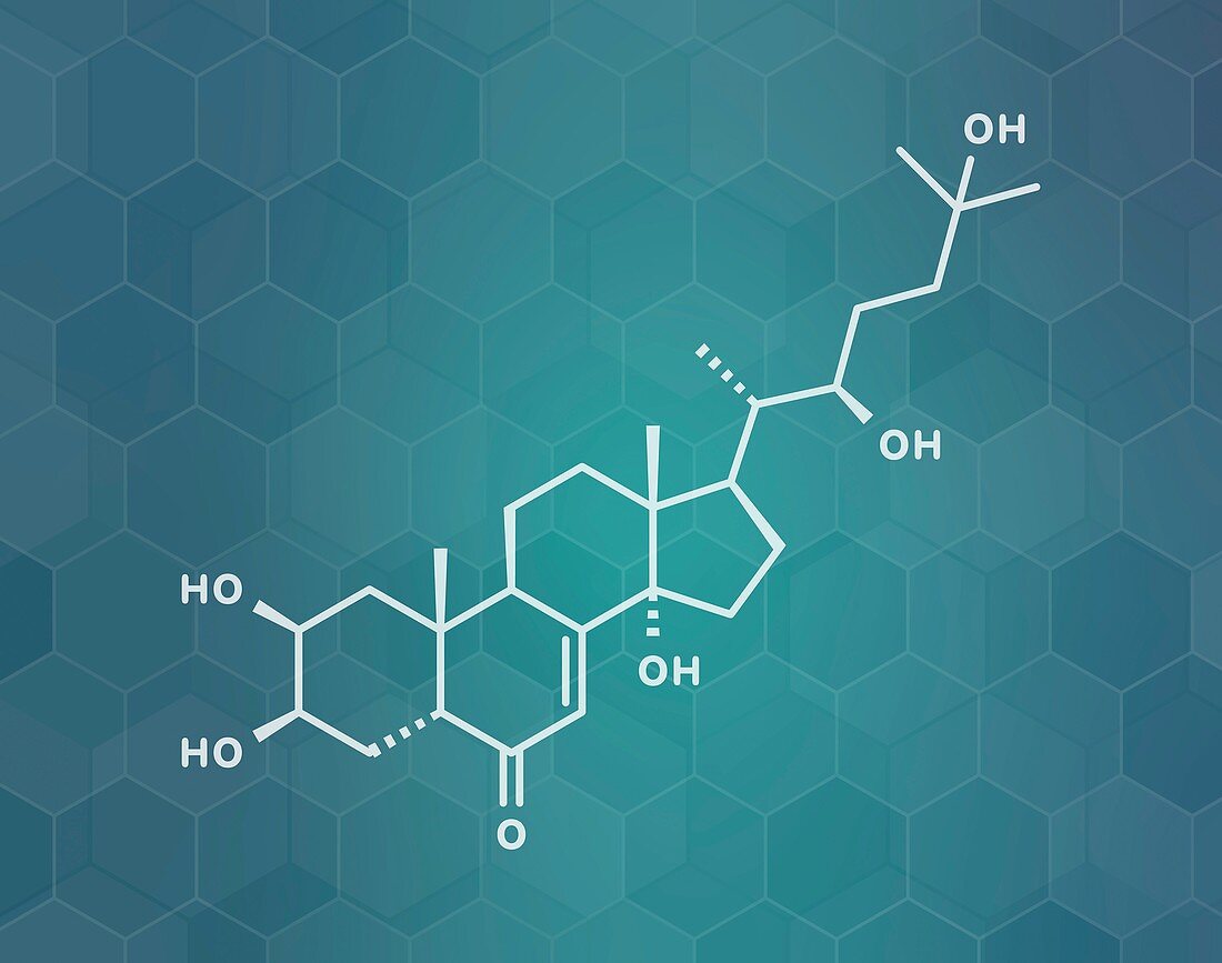 Ecdysone insect moulting prohormone, illustration