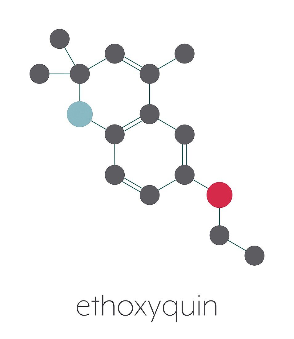 Ethoxyquin antioxidant food preservative, illustration