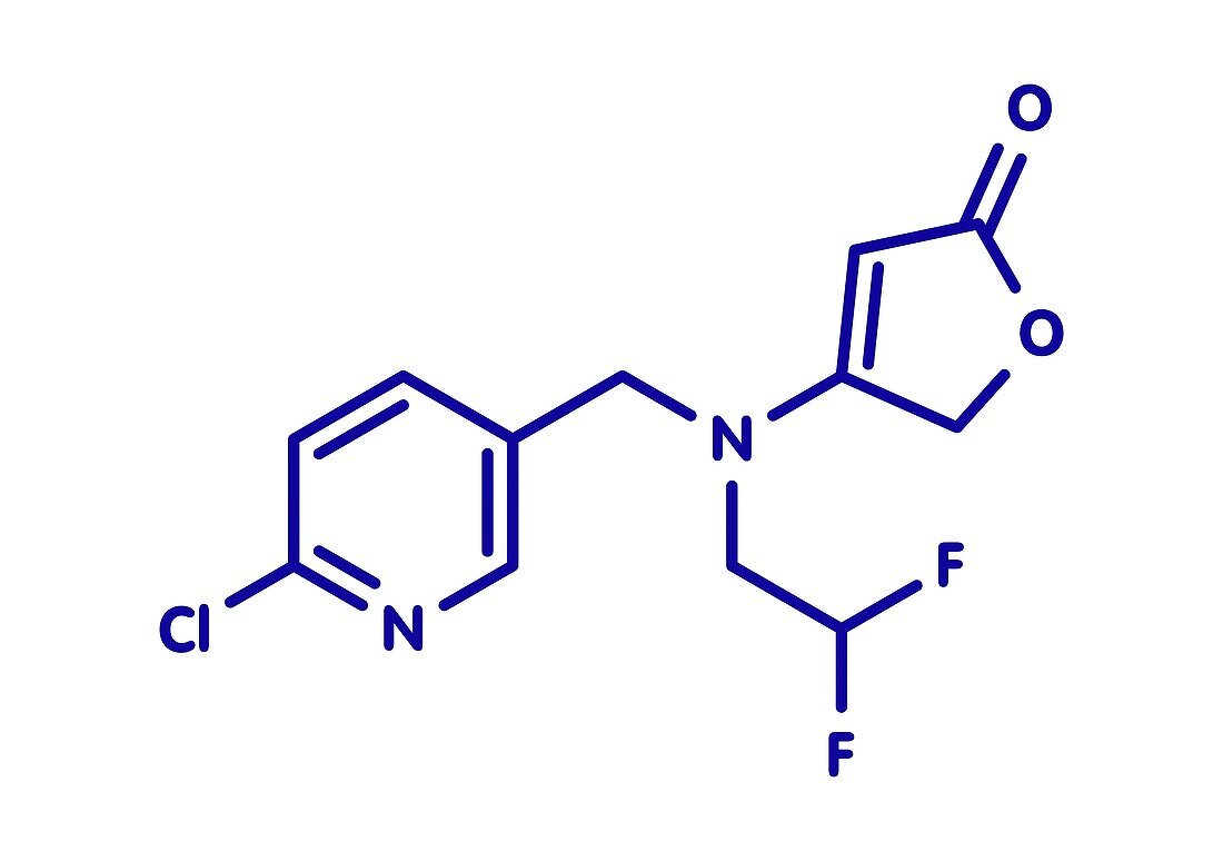 Flupyradifurone neonicotinoid insecticide, illustration