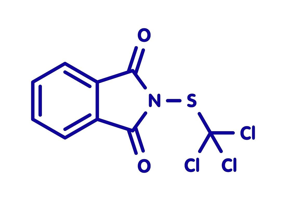 Folpet fungicide molecule, illustration