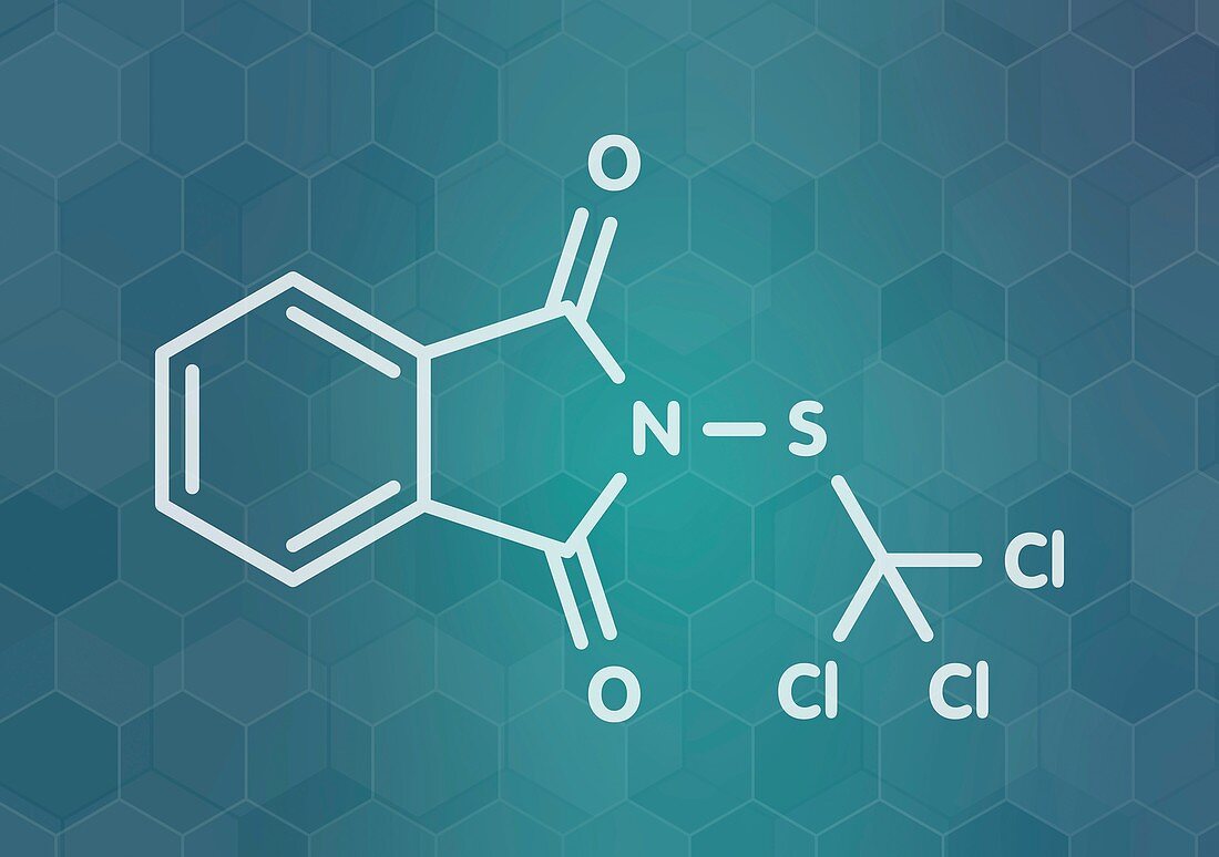 Folpet fungicide molecule, illustration