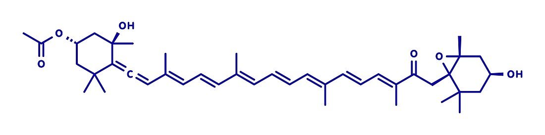 Fucoxanthin brown algae pigment molecule, illustration