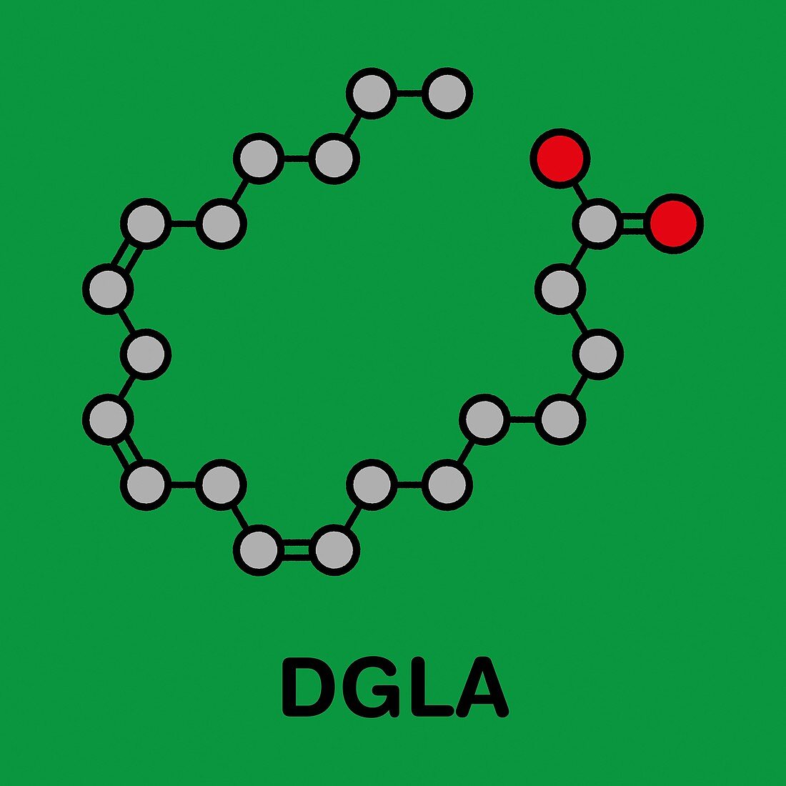 DGLA fatty acid molecule, illustration