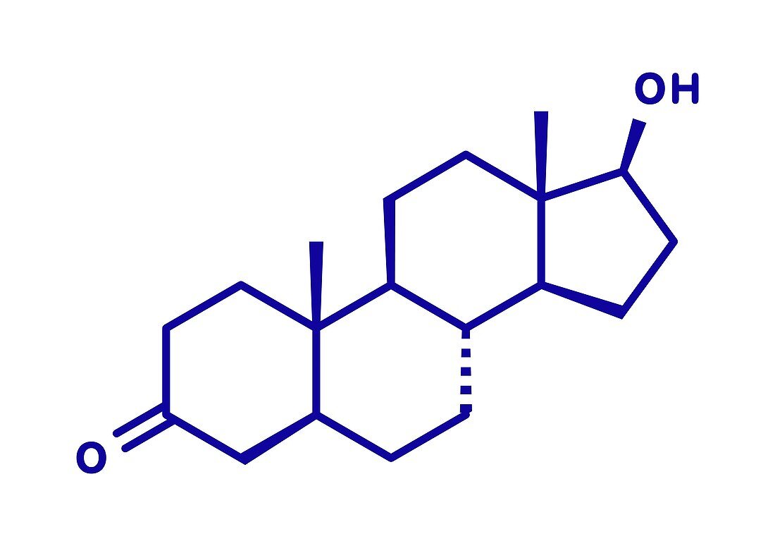 Dihydrotestosterone hormone, illustration