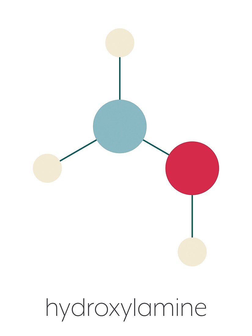 Hydroxylamine molecule, illustration