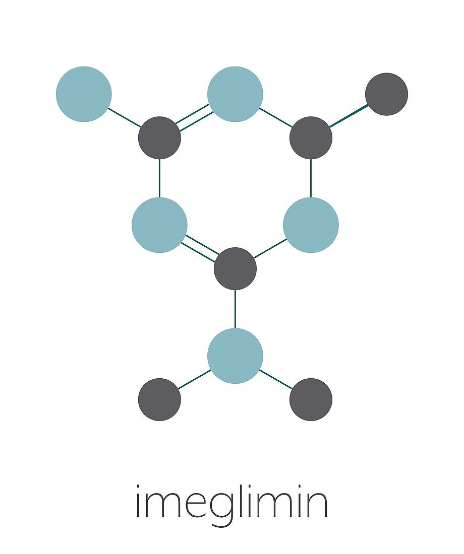 Imeglimin diabetes drug molecule, illustration