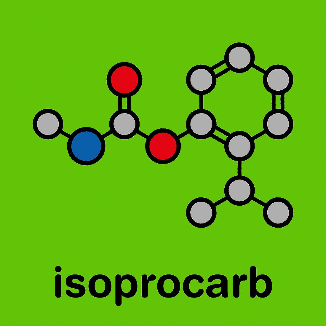 Isoprocarb insecticide molecule, illustration