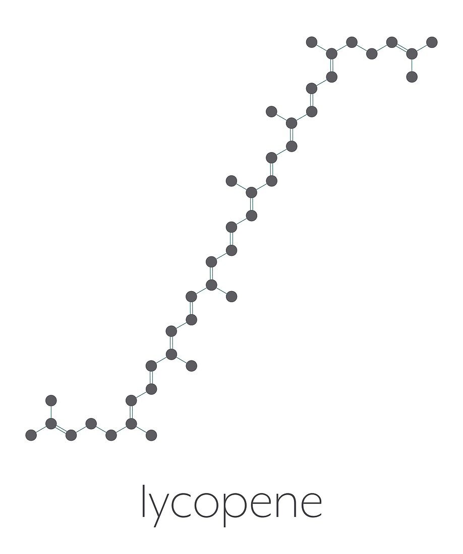 Lycopene red tomato pigment molecule, illustration