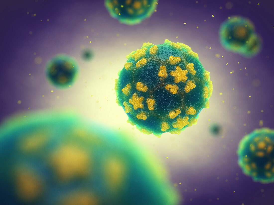 Polio virus particles, illustration