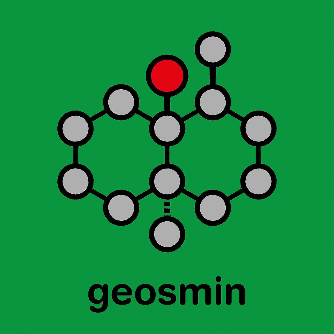 Geosmin earthy flavour molecule, illustration