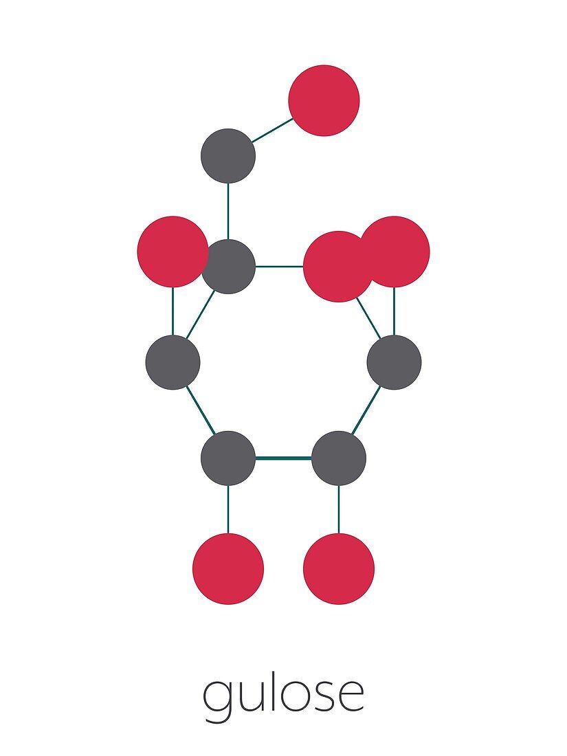 Gulose molecule, illustration