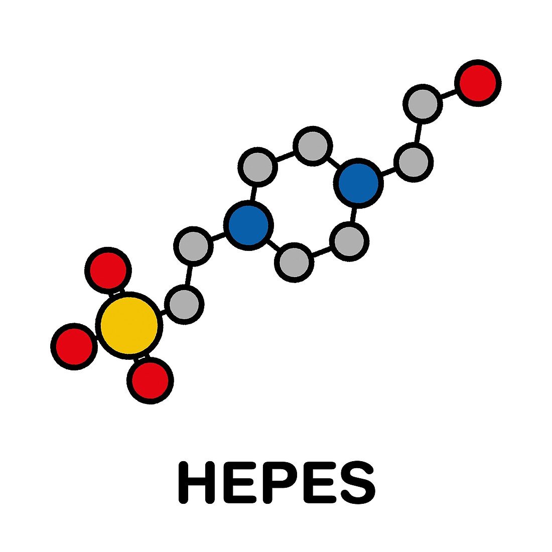 HEPES buffering agent molecule, illustration