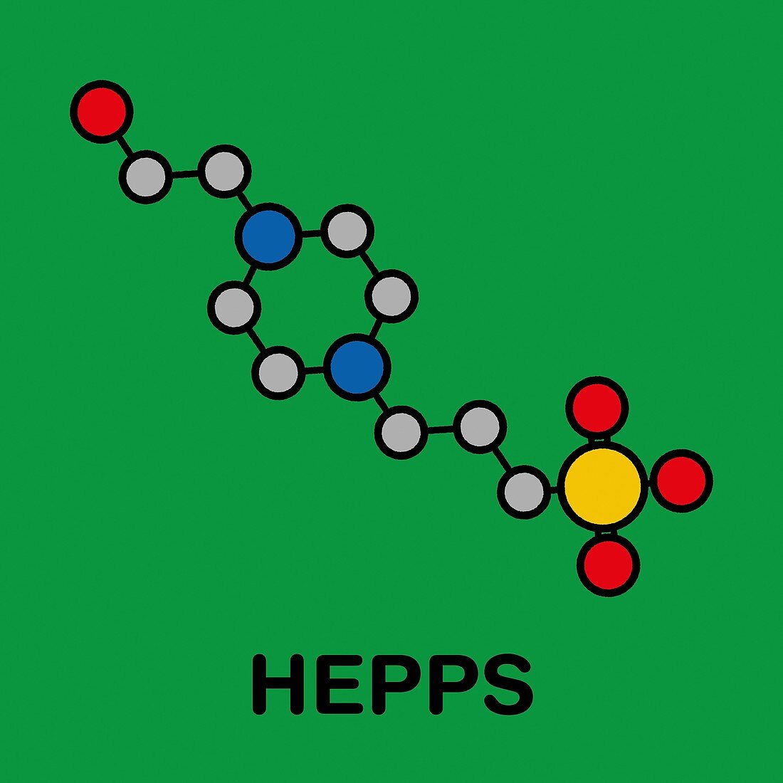 HEPPS buffering agent molecule, illustration