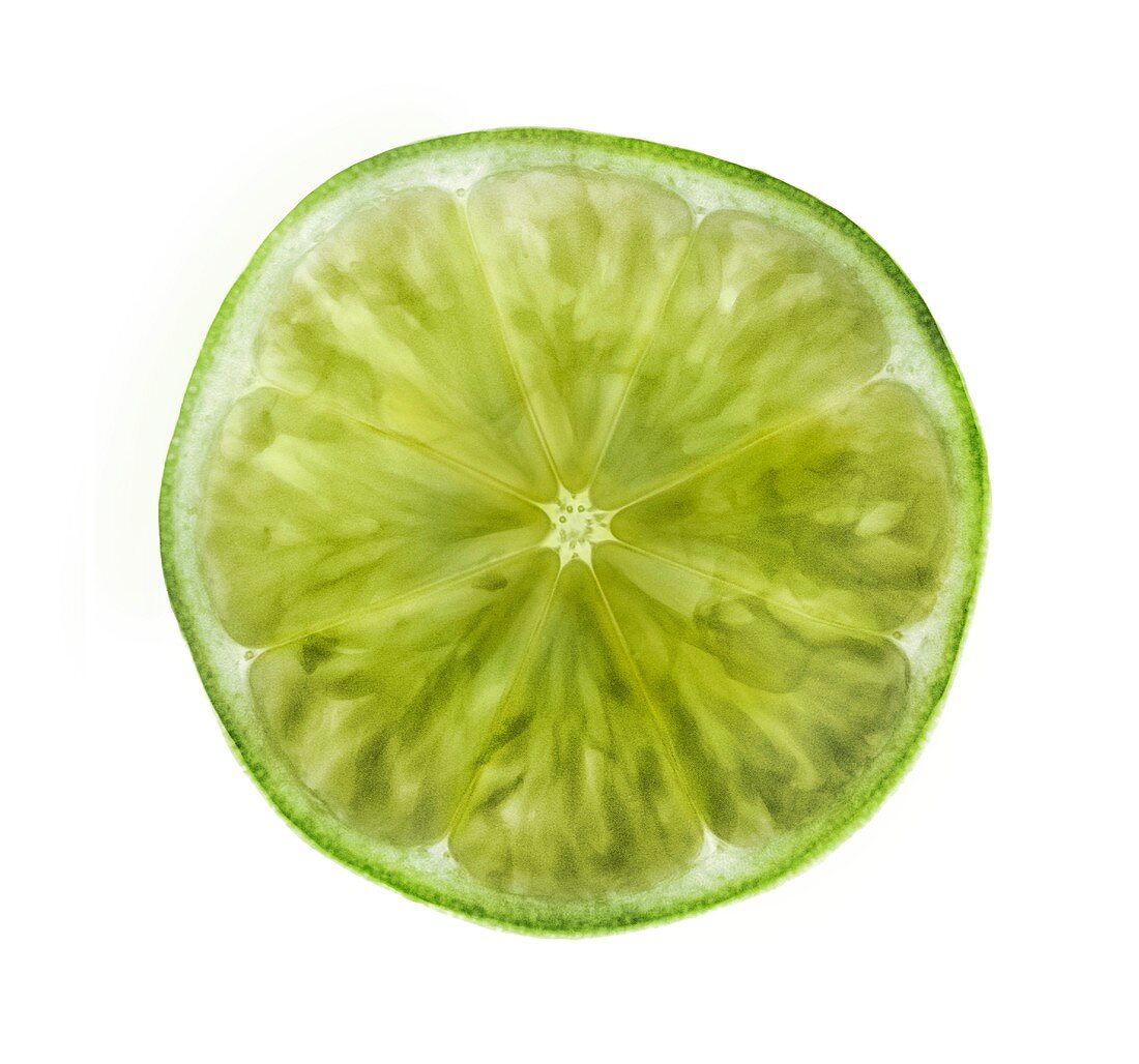 Cut lime showing segments, X-ray