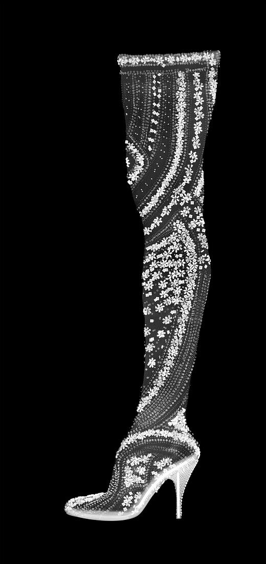 Bejewelled stockinged high heeled shoe, X-ray