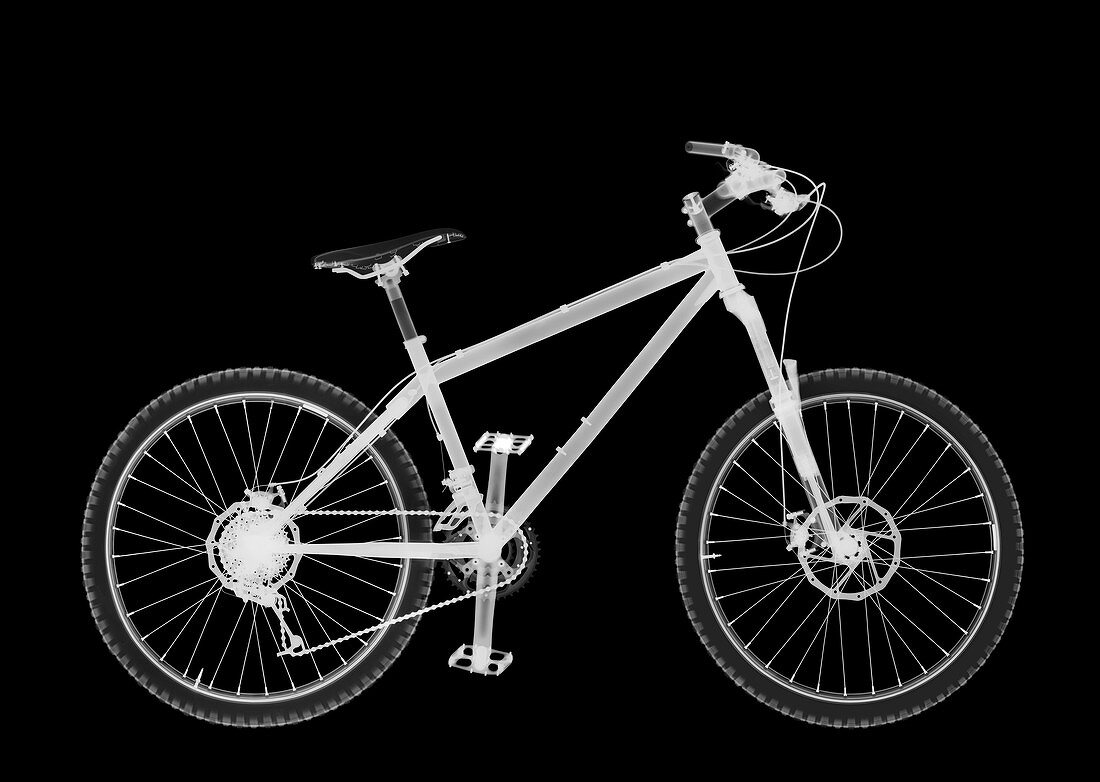 Mountain bike, X-ray