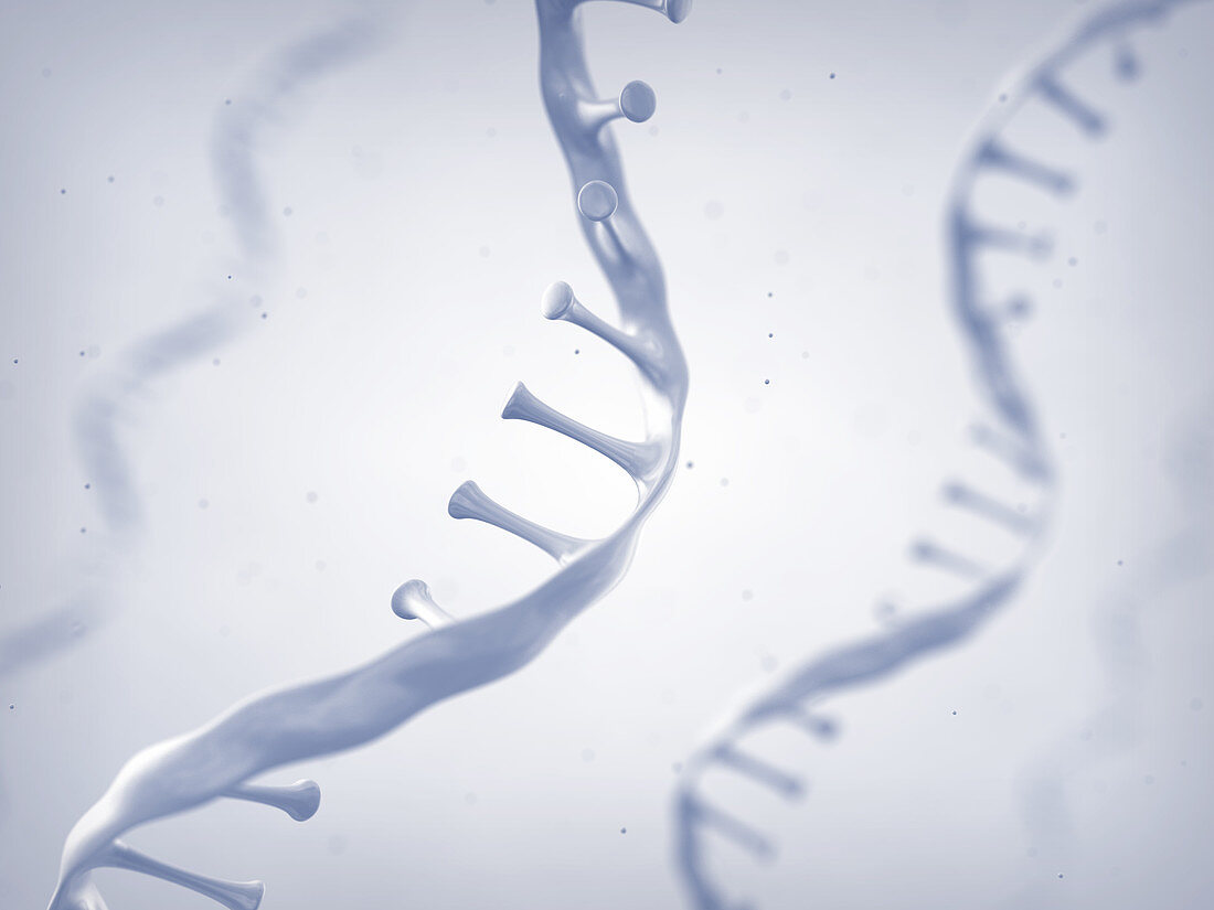 RNA molecules, illustration