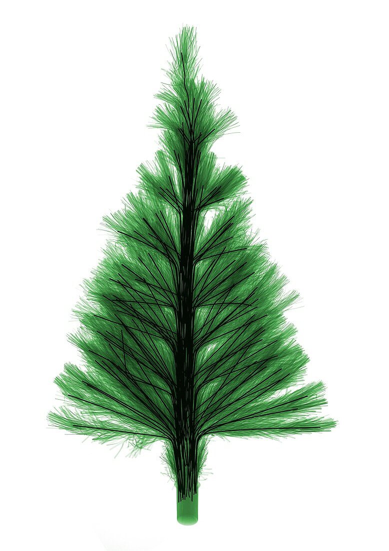 Artificial green fibre optic festive tree, X-ray