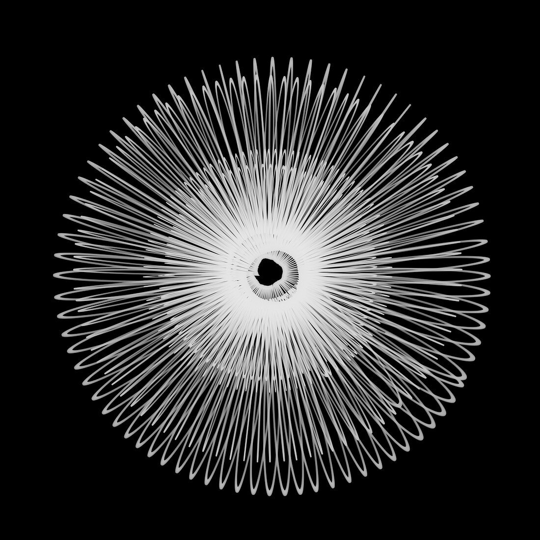 Spiral metal toy, X-ray