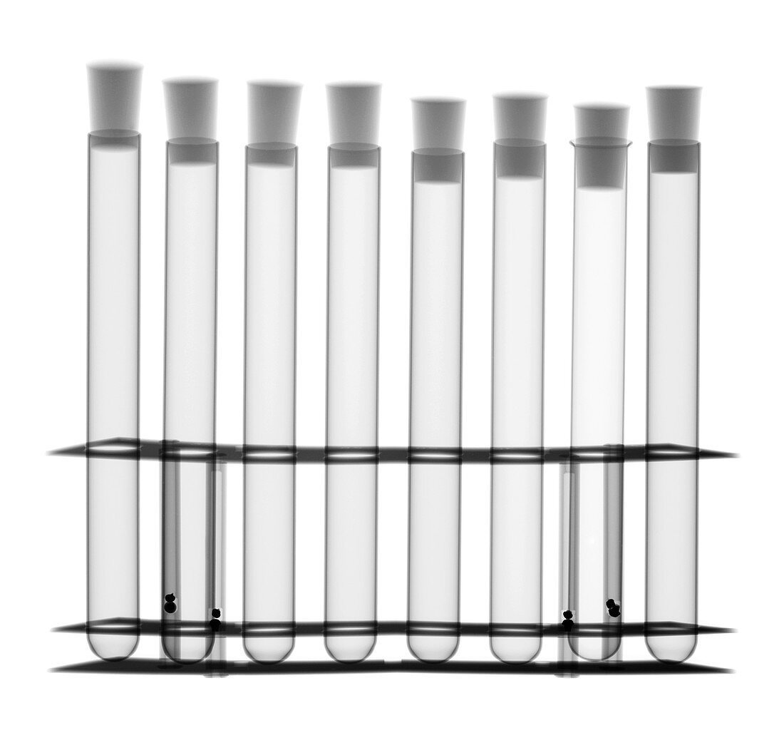 Eight test tubes with bungs in a test tube holder, X-ray