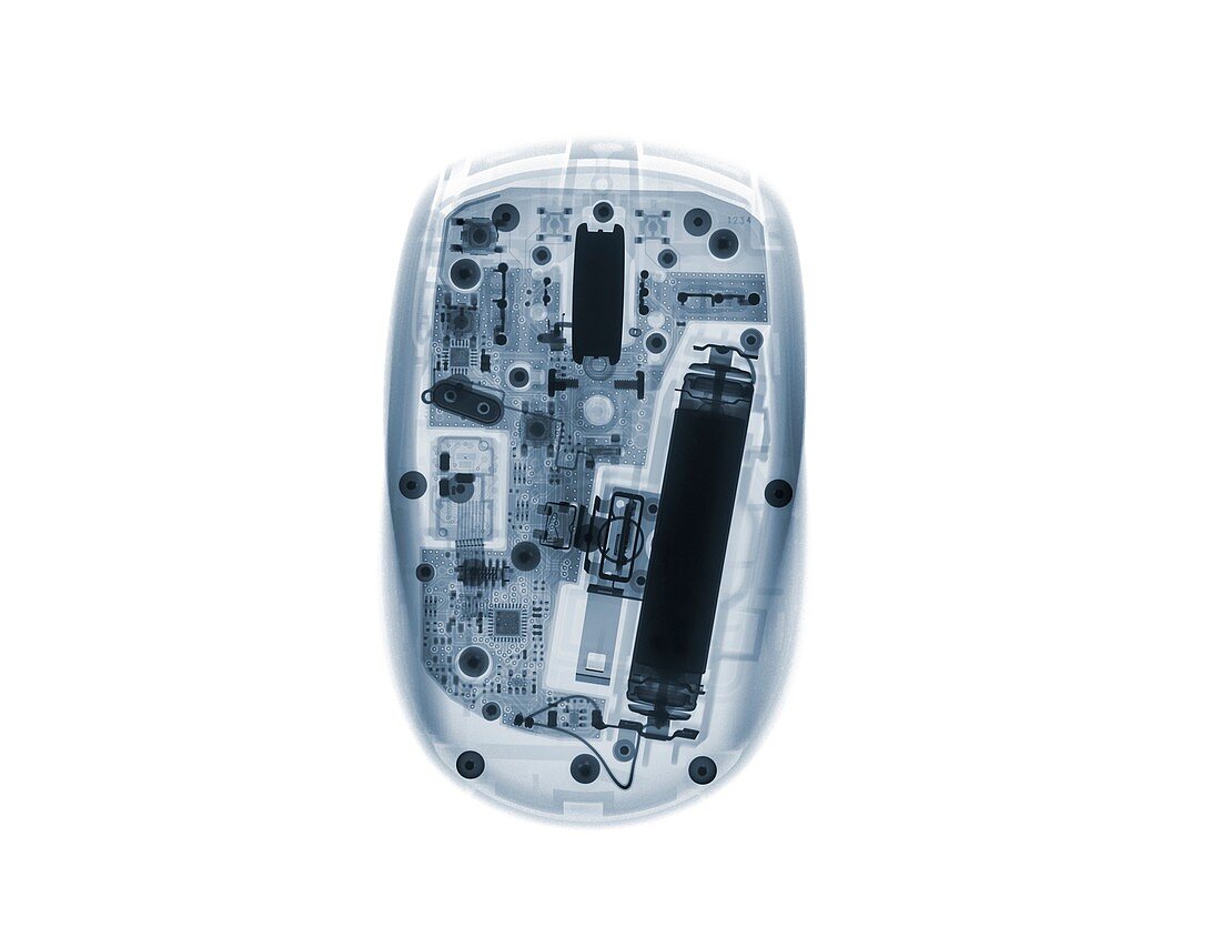 Computer mouse, X-ray