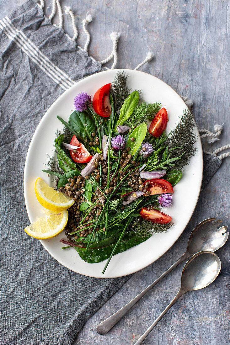 Lentil salad with herbs and tomatoes