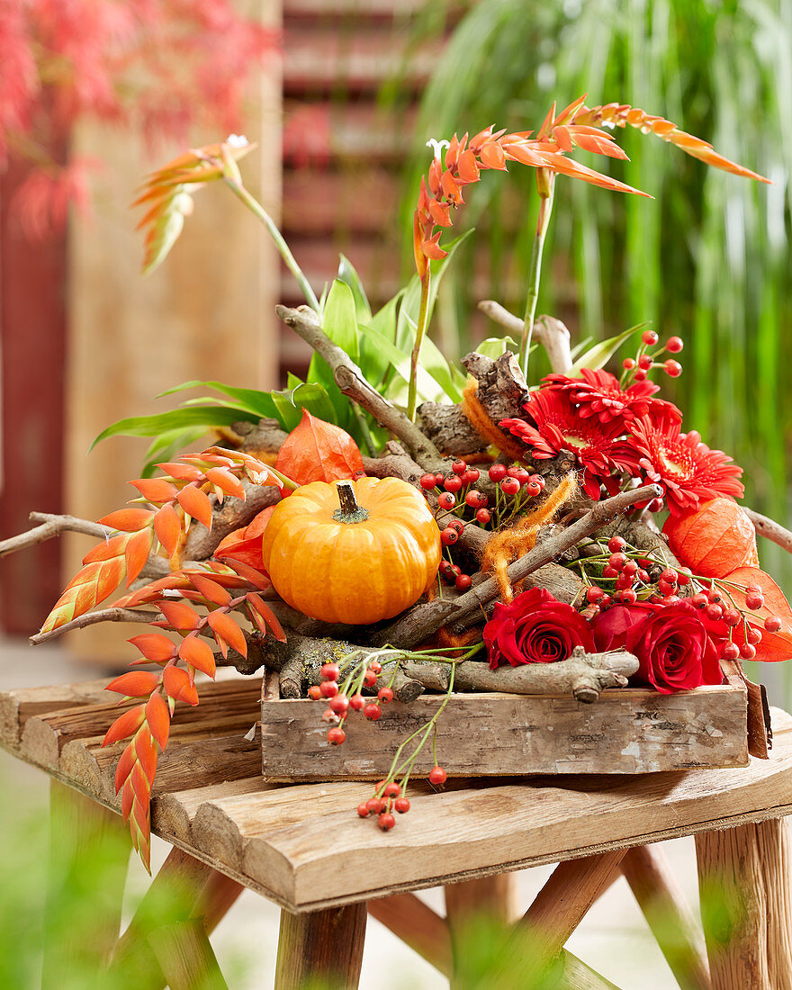 Herbstliches Gesteck mit Kürbis, Rosen, Gerbera, Hagebutten, Lampionfrüchten, Ästen und Bromelie