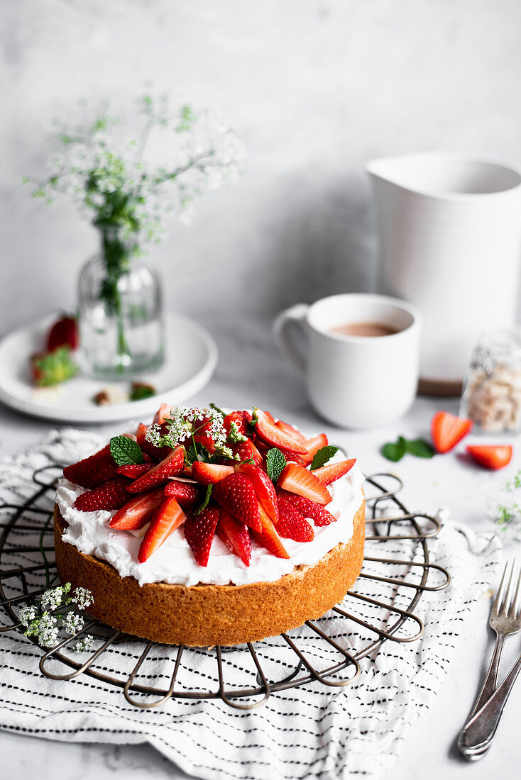 Biskuitkuchen mit Joghurtcreme und Erdbeeren