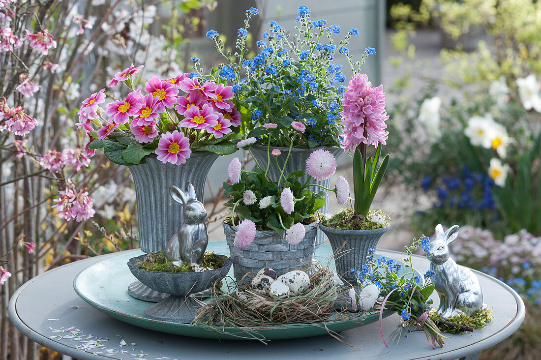 Pot arrangement with primroses, forget-me-nots, daisies, hyacinths and ray anemones, small bouquet on moss, Easter eggs and Easter bunny