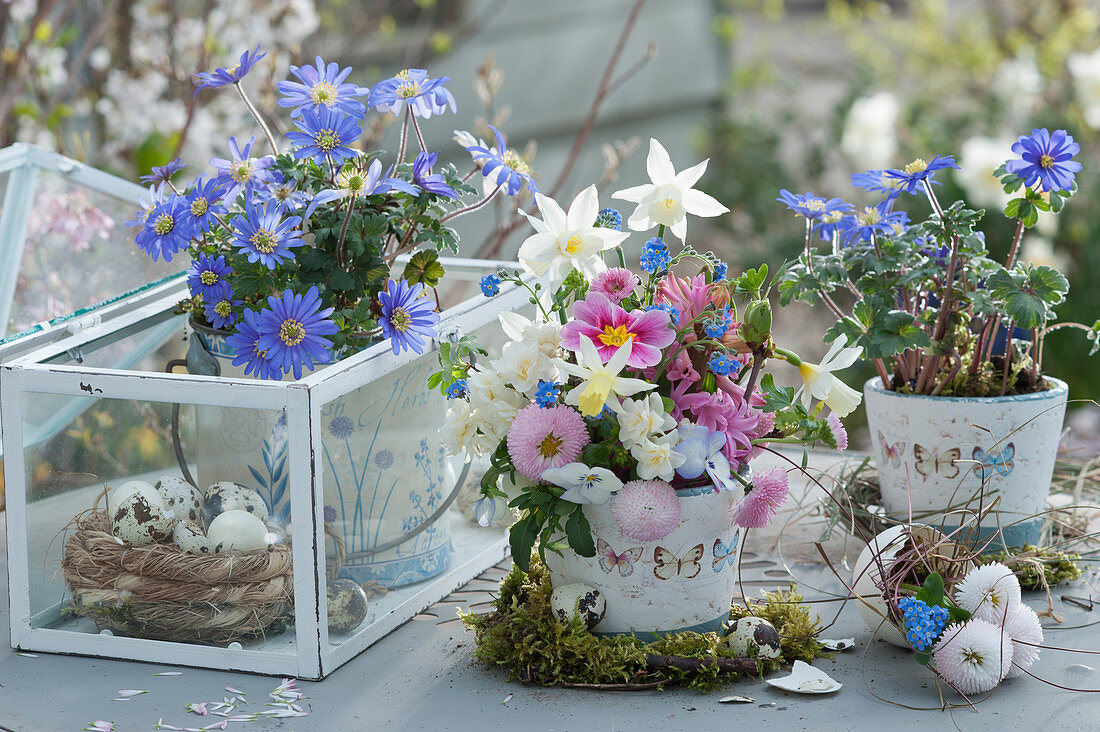 Easter arrangement with ray anemones and a bouquet of daffodils, daisies, hyacinths, primroses, forget-me-nots and horned violets, Easter eggs and wreaths