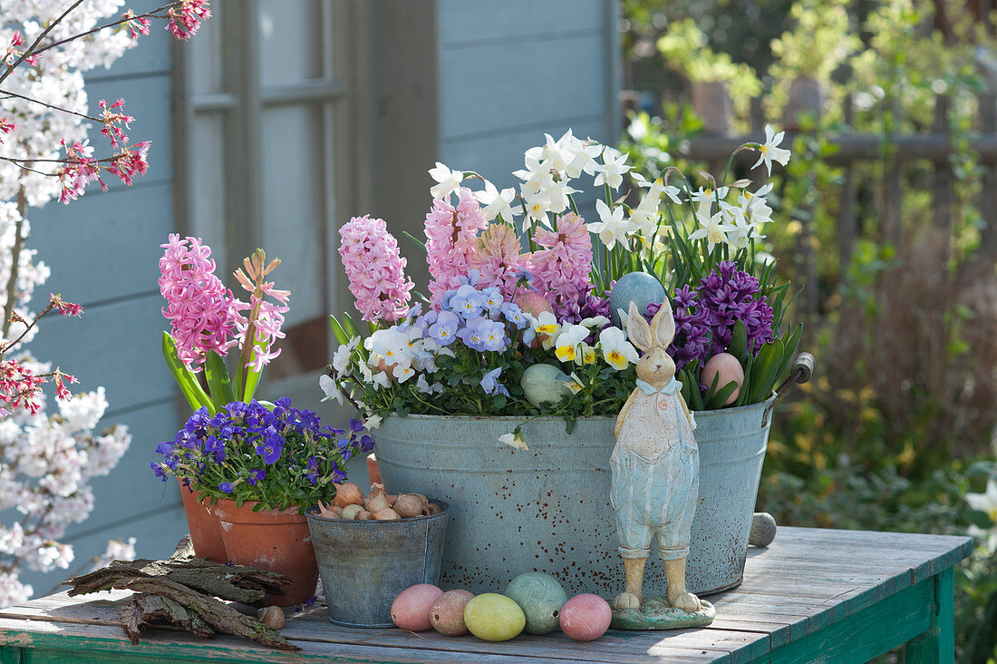 Pot arrangement with hyacinths, daffodils 'Toto', horned violets, blue pillows, onions, Easter bunny and Easter eggs