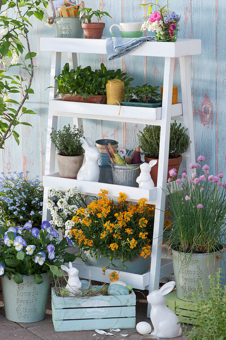 Flower staircase with gold lacquer, horny violets, candytuft, forget-me-not 'Myomark', chives, thyme, oregano and pots with utensils and seeds, Easter bunnies