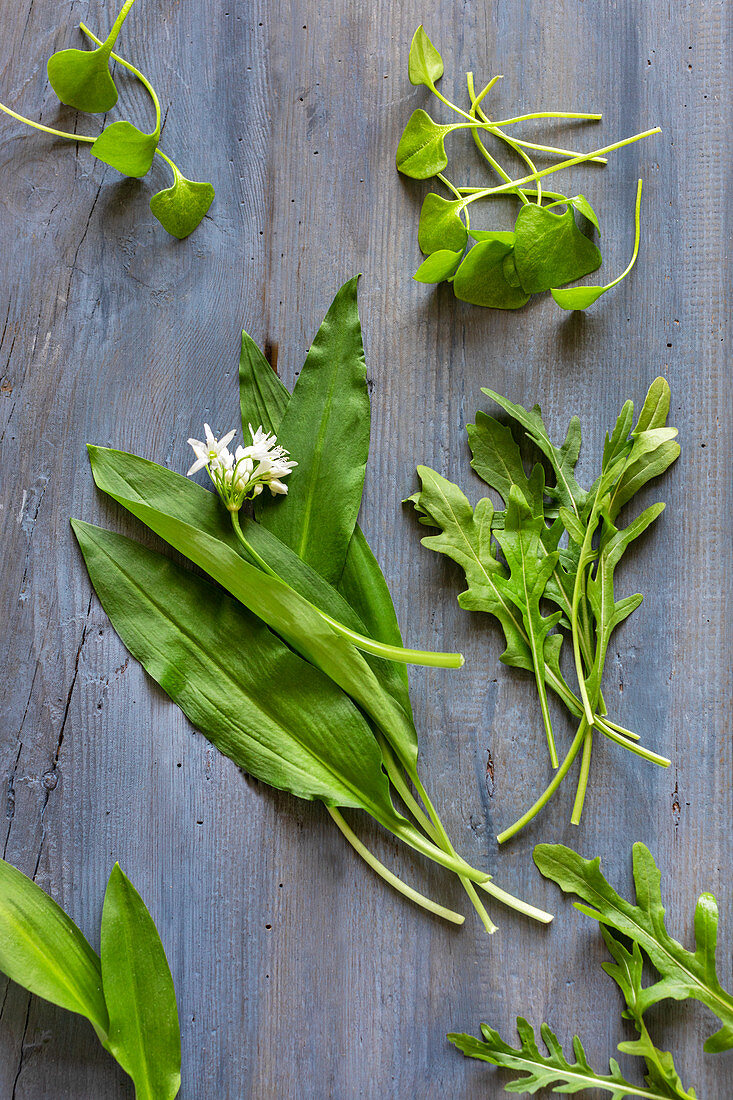 Purslane, arugula and wild garlic with leaves and flowers