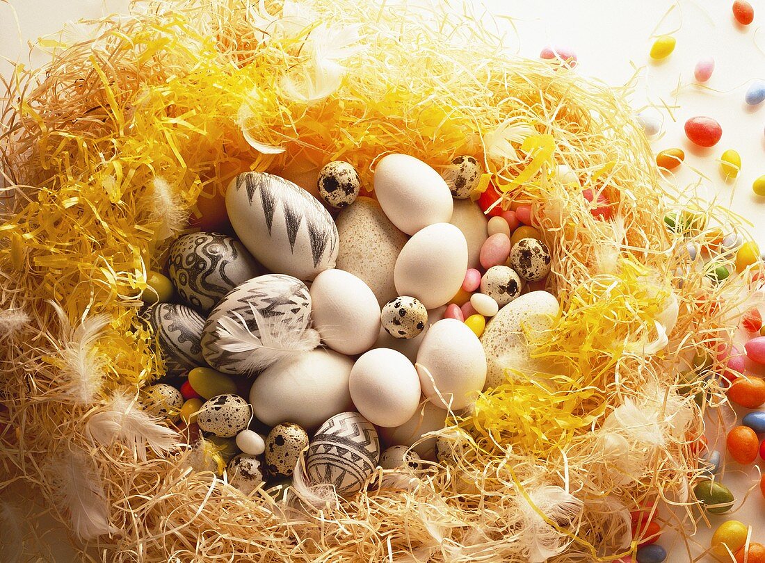 Easter nest with white & painted eggs, quail's- & sugar eggs