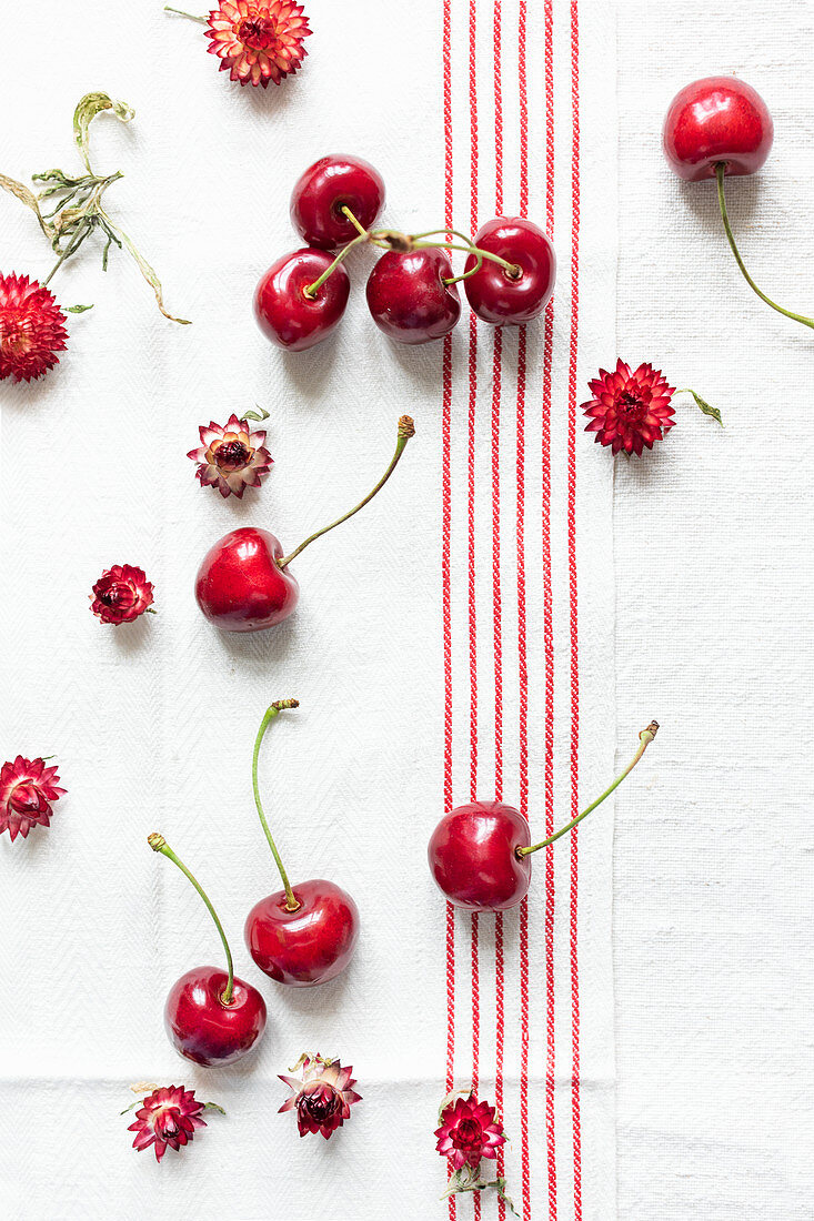Fresh cherries and red strawflowers on a linen cloth