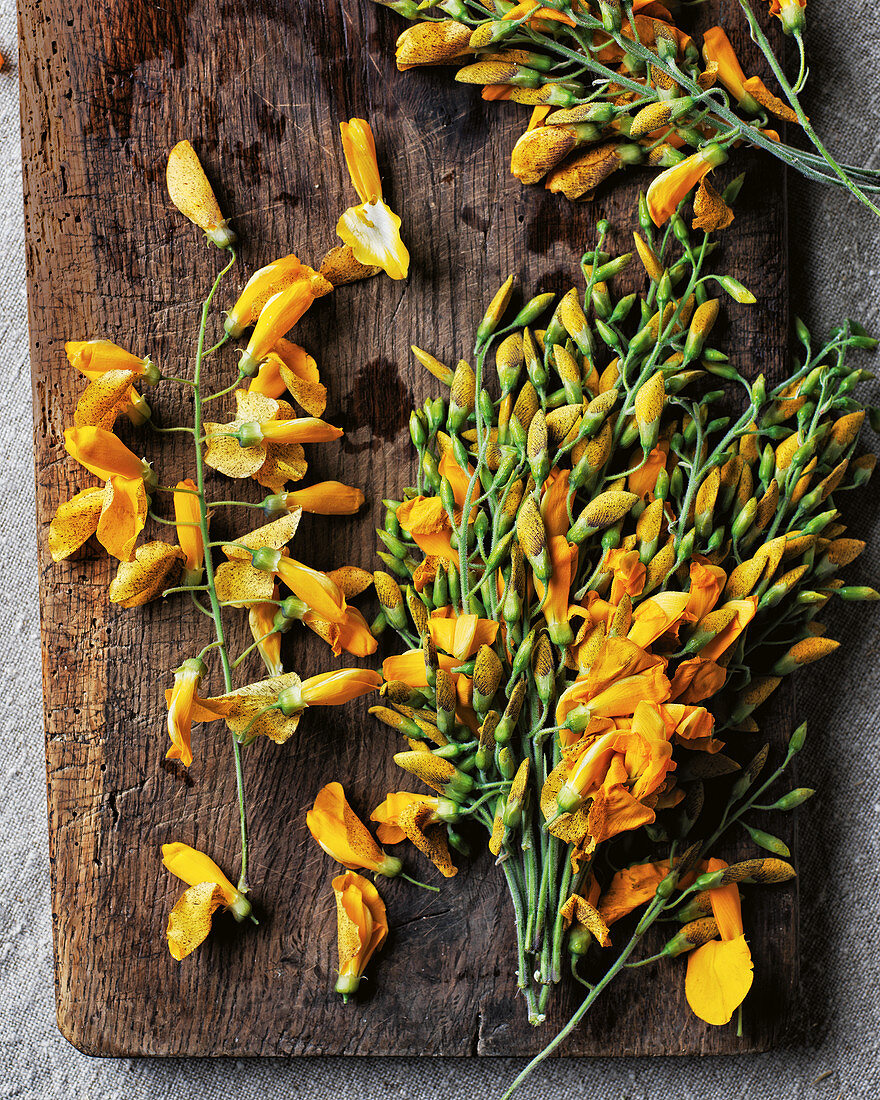 Yellow pea flowers