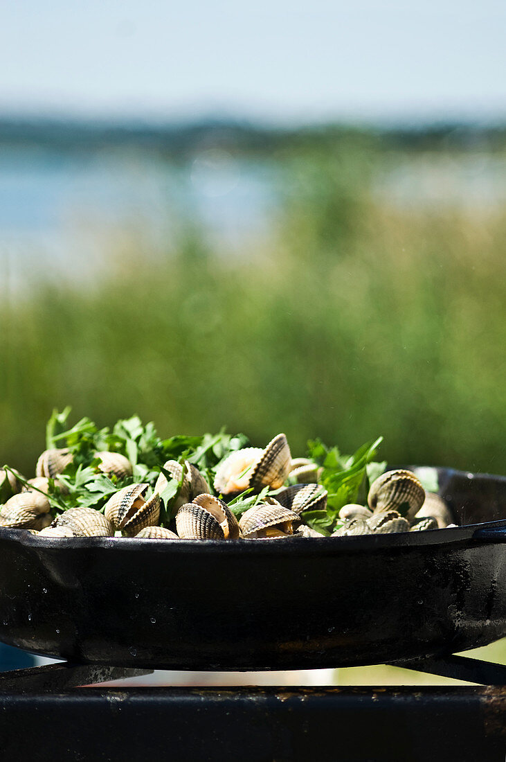 Vongole with herbs in a pan on a camping grill