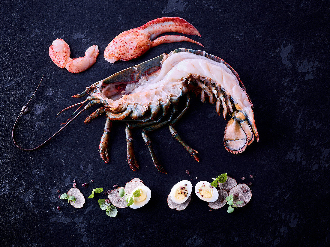 Half a semi-cooked lobster with extracted meat