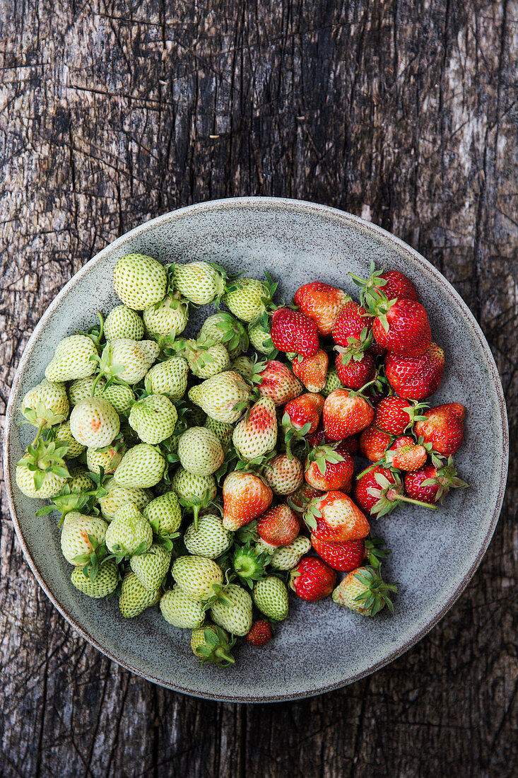 Red and green strawberries on a plate