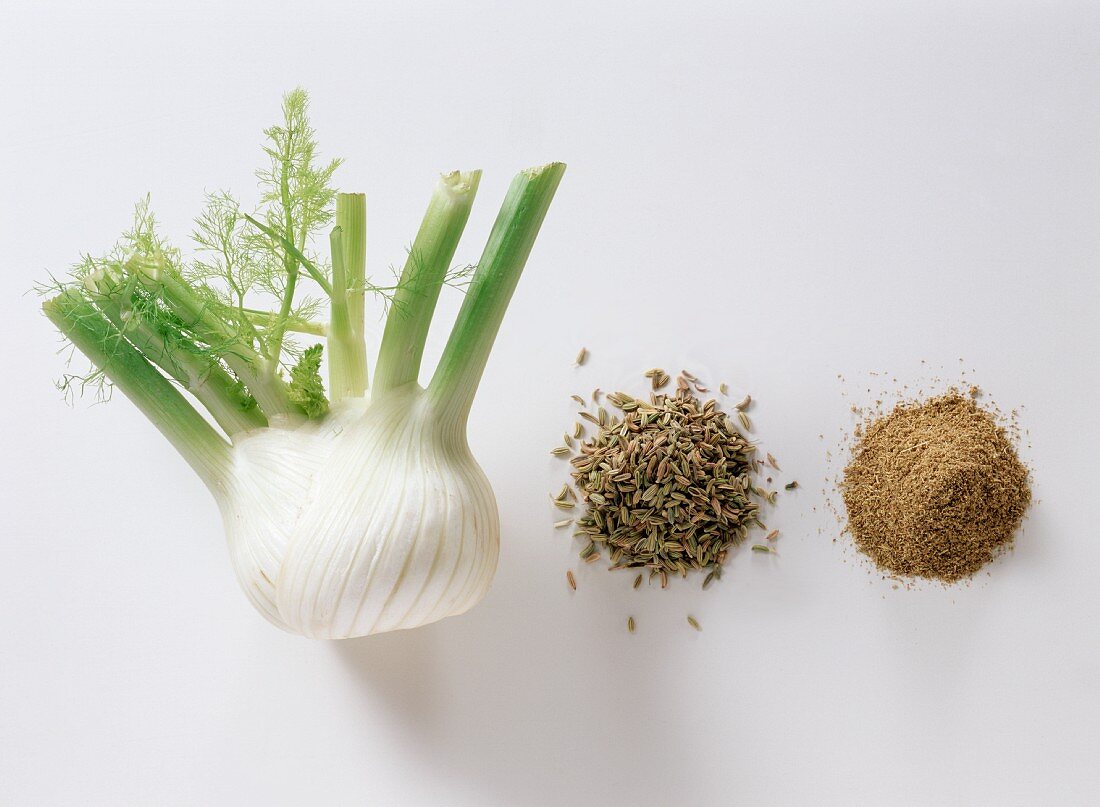 Assorted Stages of Fennel