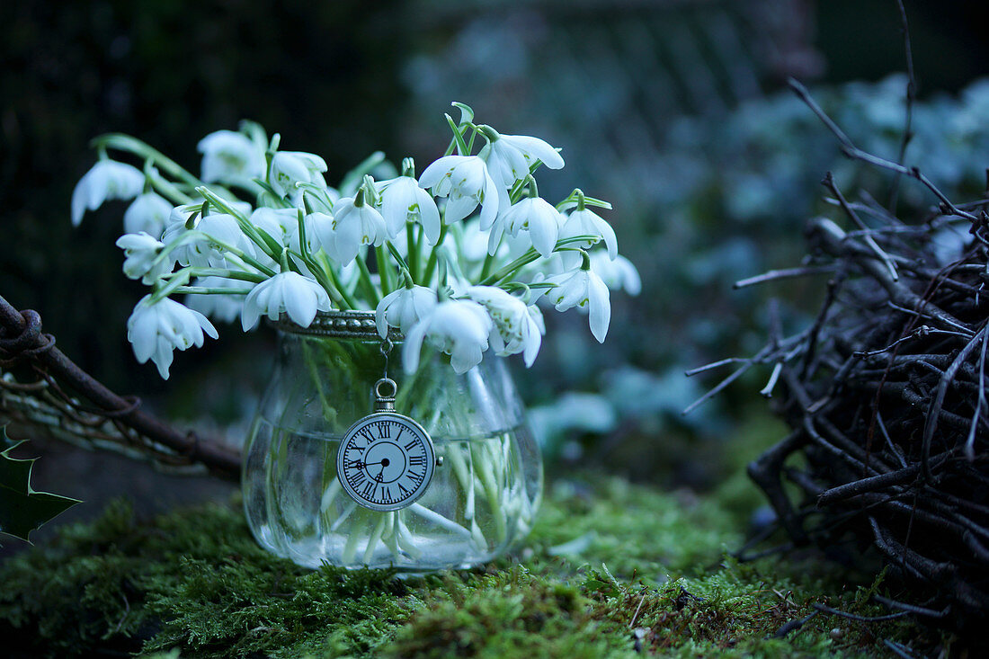 Posy of snowdrops in vintage-style glass vase on moss