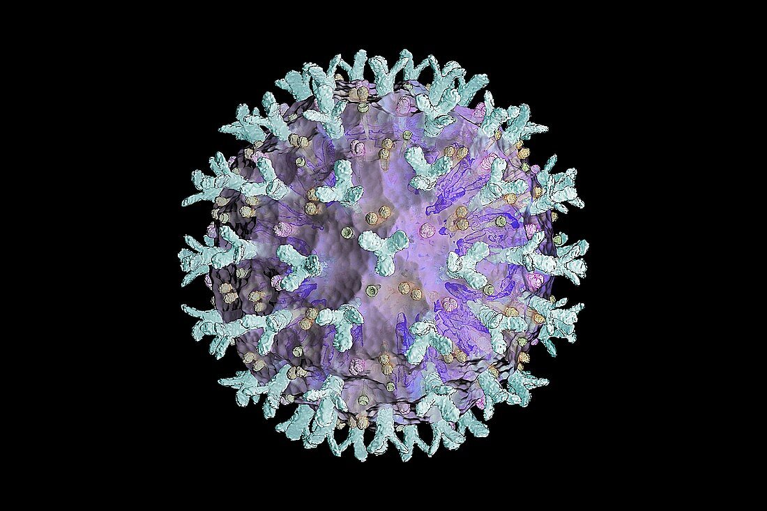 Covid-19 coronavirus particle, illustration