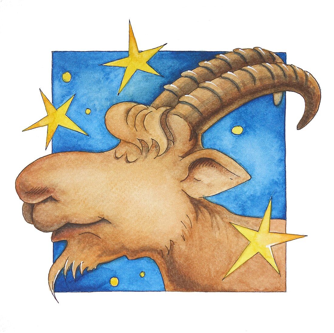 Capricorn zodiac sign, illustration