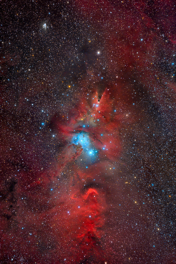 Cone nebula and Christmas Tree Cluster