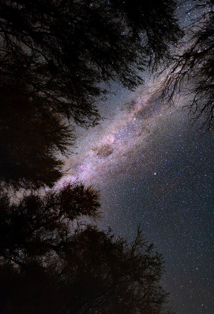 Milky Way over Atacama desert, Chile