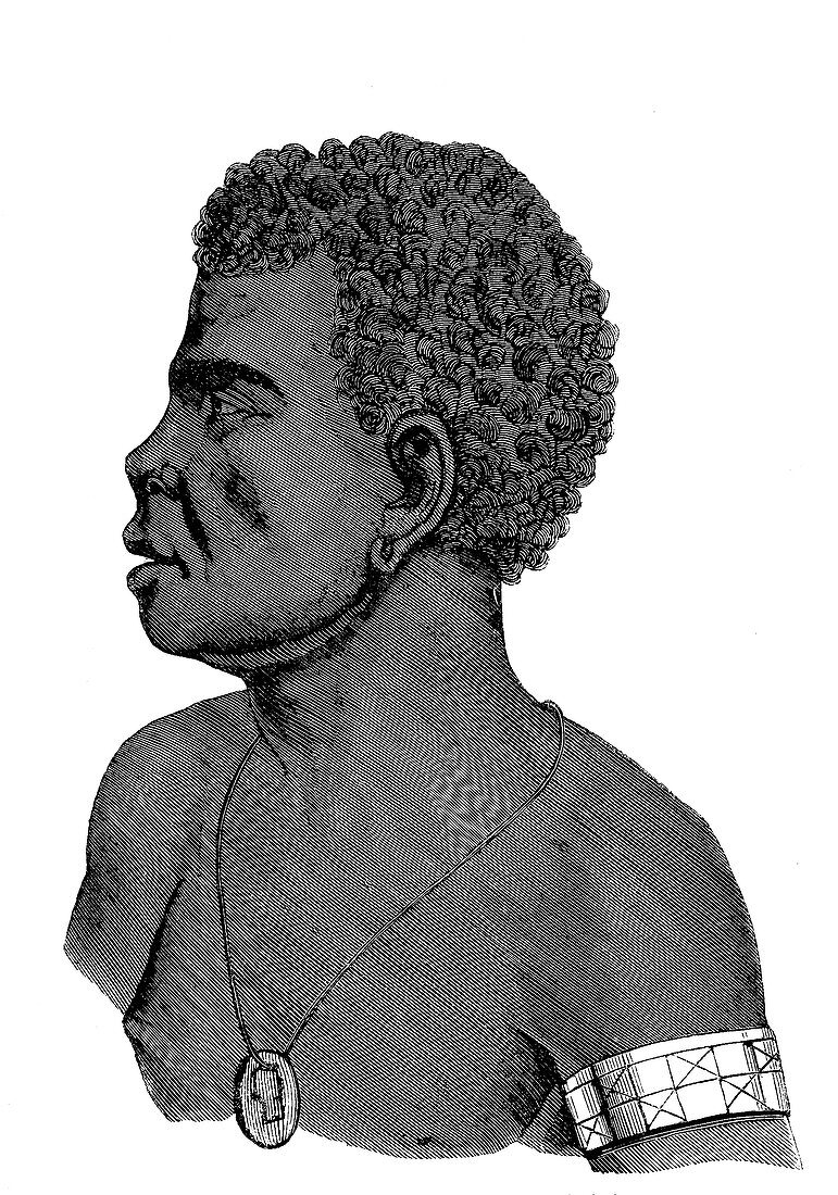 Monbai chief, New Guinea, 19th century illustration