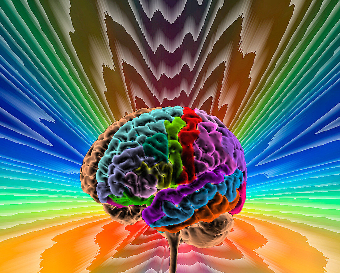 Brain mapping, composite image