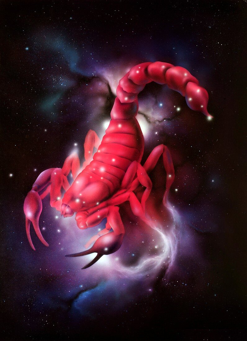 Scorpio zodiac sign, illustration